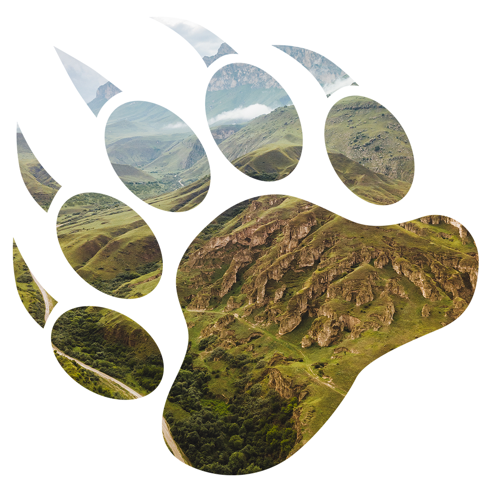 placeholder+image